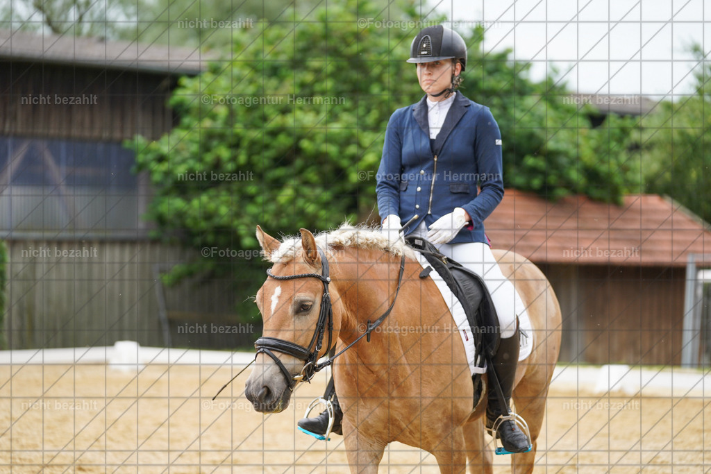 20240630-FAH00830 | Turnierbilder Schwabmünchen, Dressurbilder, Springreitturnier, Reitsportbilder, Turnierfotografen Bayern, Turnierfotograf
