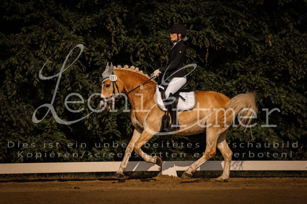 14.SaDrA00029 | Leoni Ertmer Photography - Realisiert mit Pictrs.com