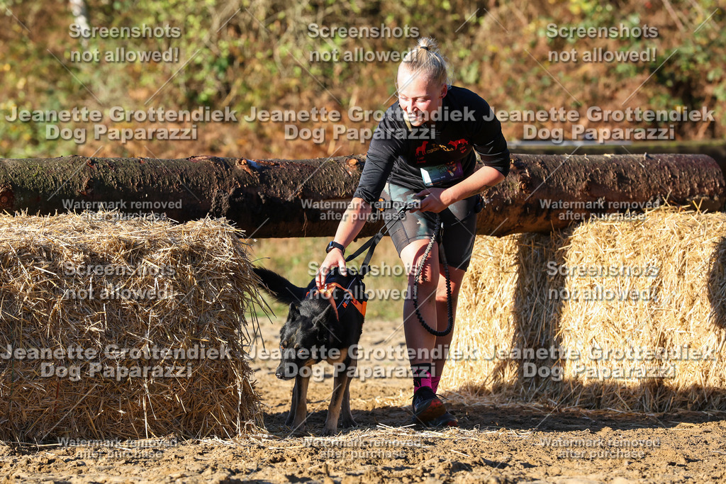 Dog Paparazzi - Strongdog 10-25-1147 | Dog Paparazzi Jeanette Grottendiek Fotografie & Videografie - Realisiert mit Pictrs.com