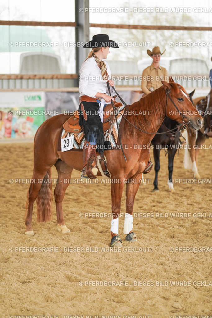 DSC06473 | Pferdegrafie