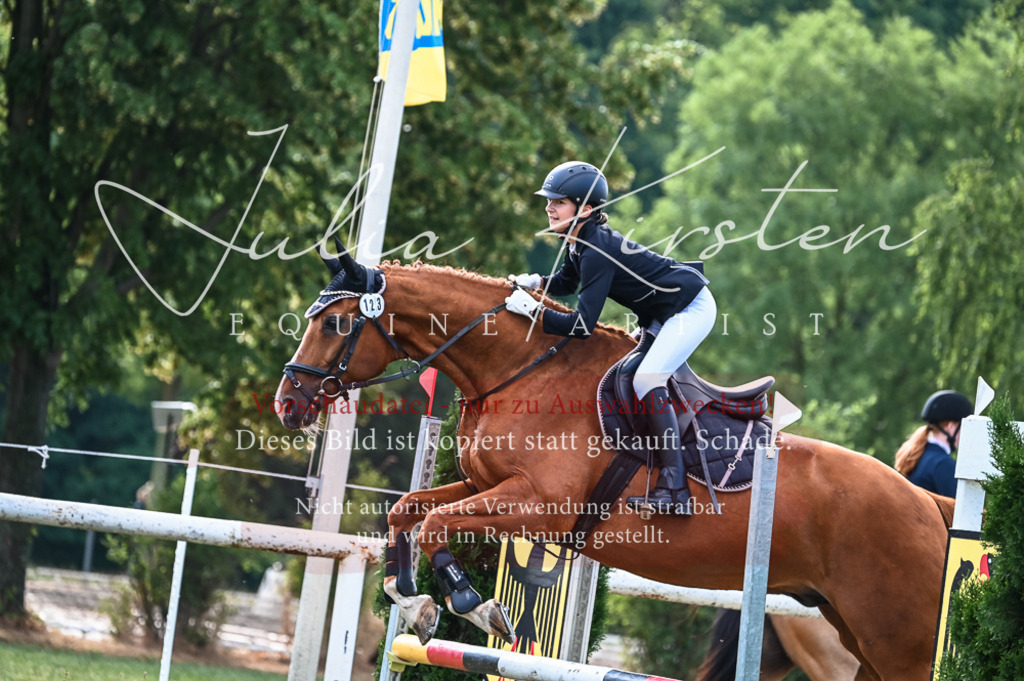 DSC_7955 | Pferde- und Turnierfotografie in Westsachsen. Pferdeportraits, Auftragszeichnungen und intuitive Kunst.