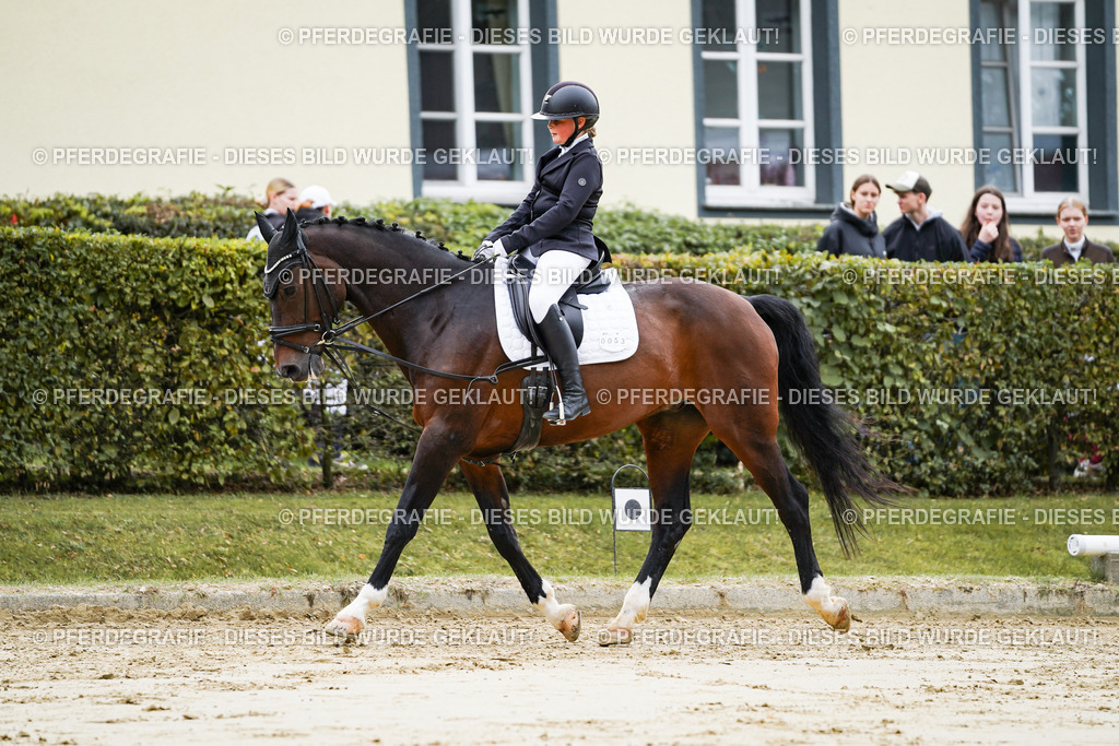 DSC04721 | Pferdegrafie