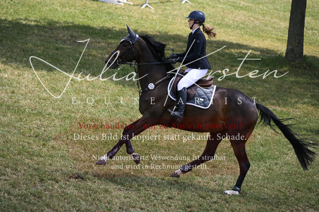 DSC_9705 | Pferde- und Turnierfotografie in Westsachsen. Pferdeportraits, Auftragszeichnungen und intuitive Kunst.