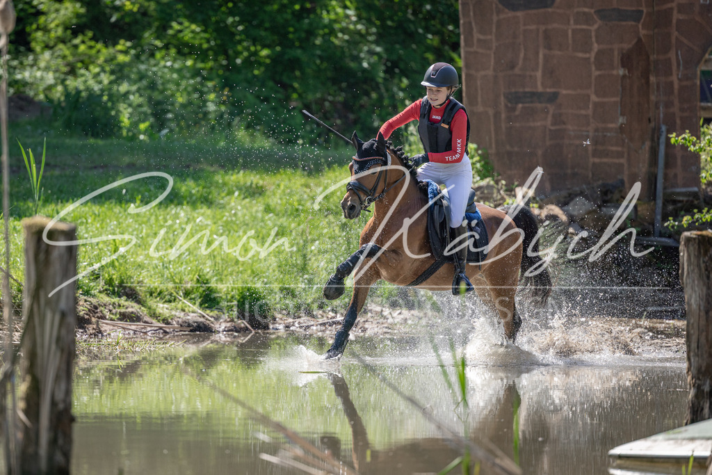 20260523-_3LI7542 | Tierfotografie Pferde, Hunde, Katzen, Haustiere.
Turnierfotografie Reitturniere, Reiten, Springreiten, Dressur in Hanau, dem Main-Kinzig-Kreis und dem Rhein-Main- Gebiet um Frankfurt