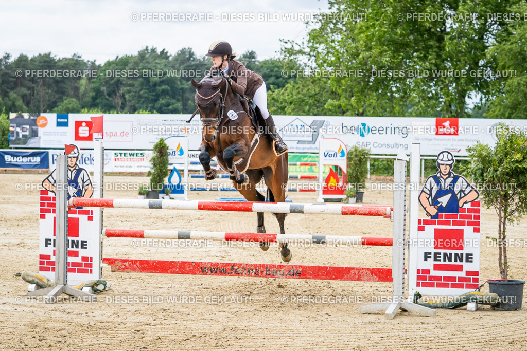 DSC04980 | Pferdegrafie