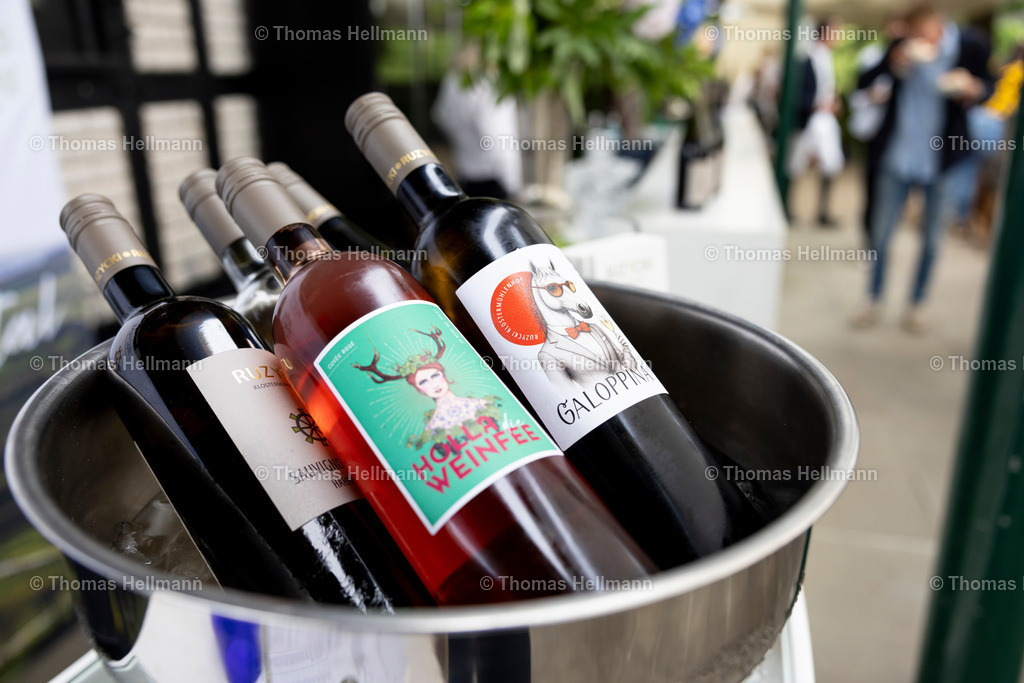 TH_Sponsoren_31696 | Longines Balve Optimum 2025 am 15.06.25 in Balve, Schloss Wocklum, Sponsoren