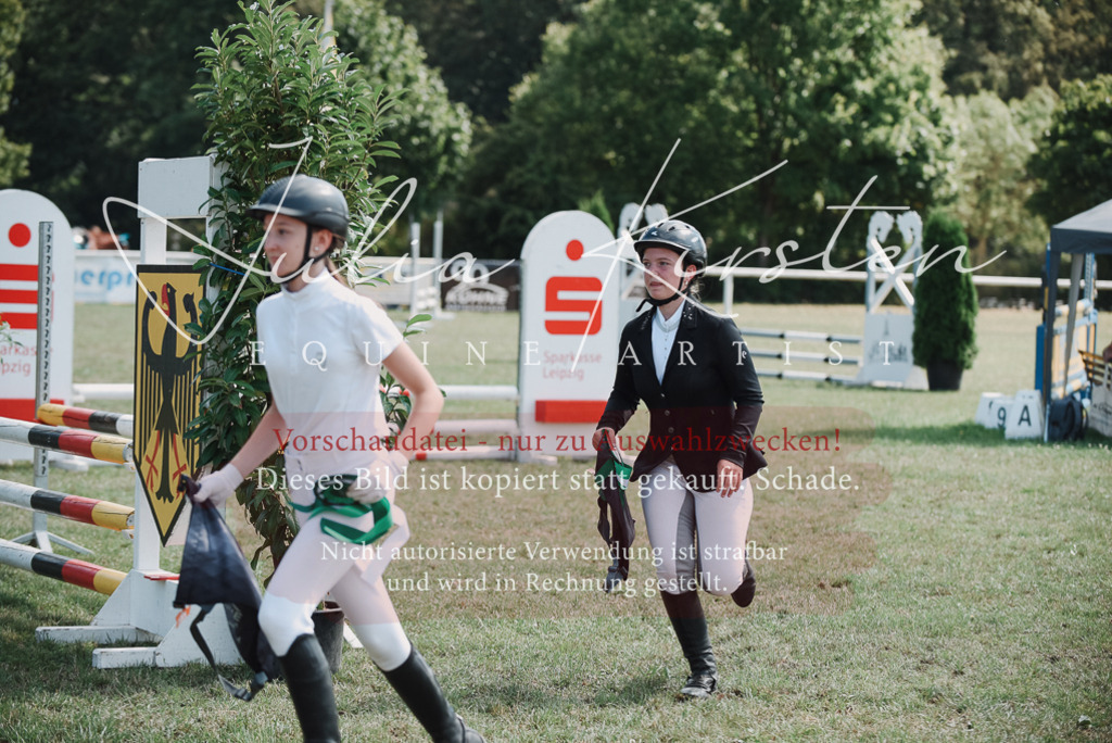 DSC_5925 | Pferde- und Turnierfotografie in Westsachsen. Pferdeportraits, Auftragszeichnungen und intuitive Kunst.
