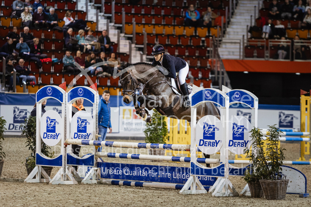 250108_Muenster_Hengstpräsentation-180 | Deine schönsten Turniermomente als professionelle Fotos! Entdecke hochwertige Pferdesport-Fotografie im Online-Shop. Jetzt Fotos finden & bestellen!