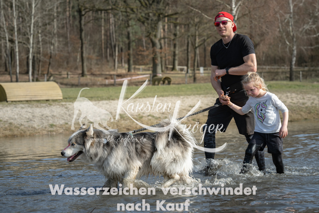 1254_ZZ92749 | kk-dogfotos