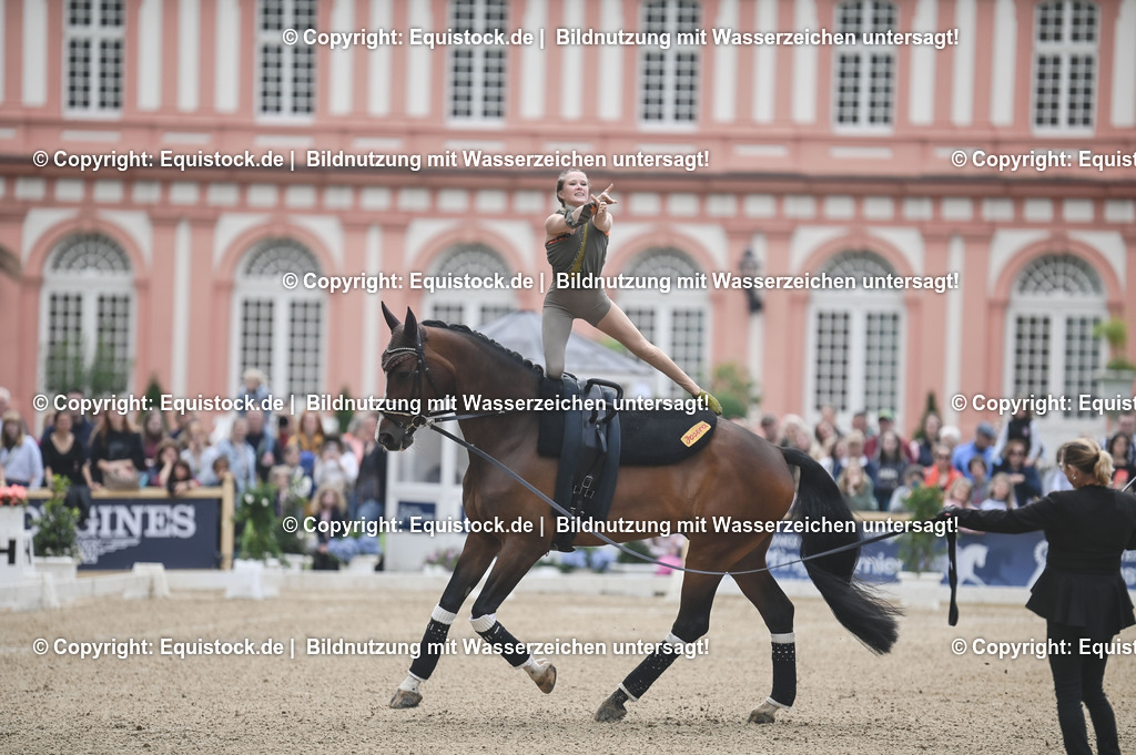 20240519_Voltige_0349 | Foto: Thomas Hartig