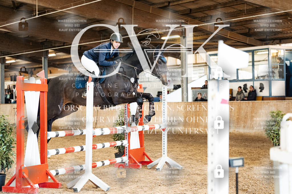 CK905108 | Turnierfotografie Pferdefotografie Trier Rheinland-Pfalz Pferdesport Reitsport Tierfotografie Sportfotografie Pferdevideo Pferdevideografie Equestrianvideography equestrianphotography  - Realized with Pictrs.com