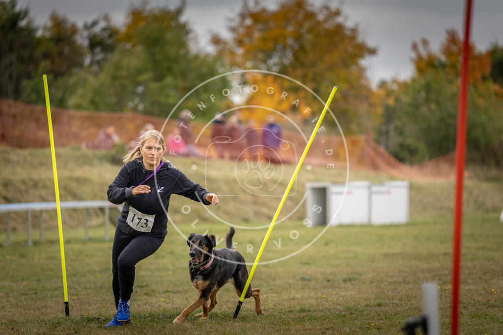 Pfotenfotografie_DV3A5726 | Hundefotografie, Tierfotograf, Pfotenfotografie, Fotoshooting Hund, Hunde Portrait, Hundesport, Hundeportraits, Heideshooting, Hunde, Sportfotograf, Hundefotograf, Turnierhundsport, THS,  - Realisiert mit Pictrs.com