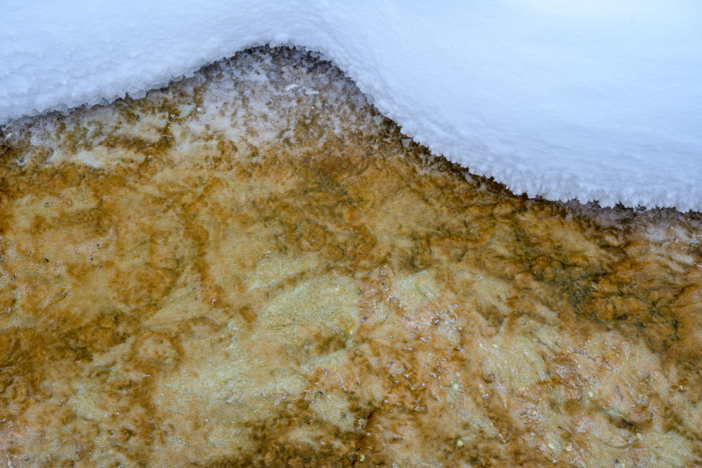 2024-136 | West Thumb Geyser Basin. - Realisiert mit Pictrs.com