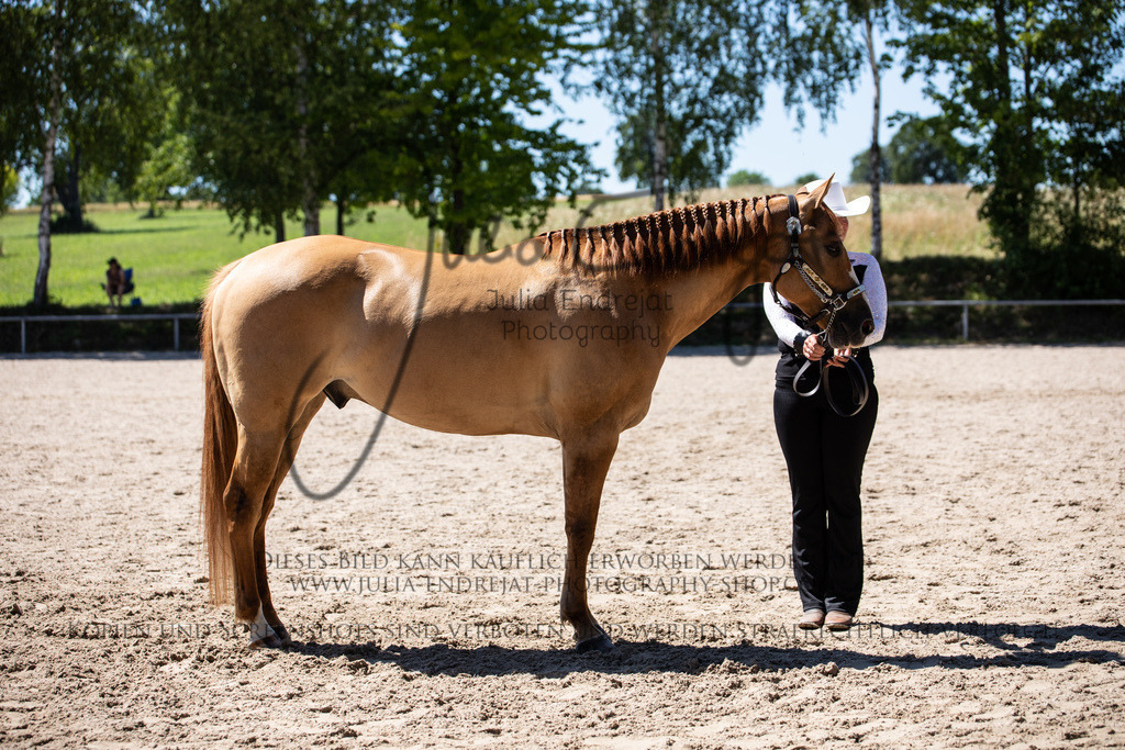 20220702-JuliaEndrejatPhotography-1622 | Julia Endrejat Photography