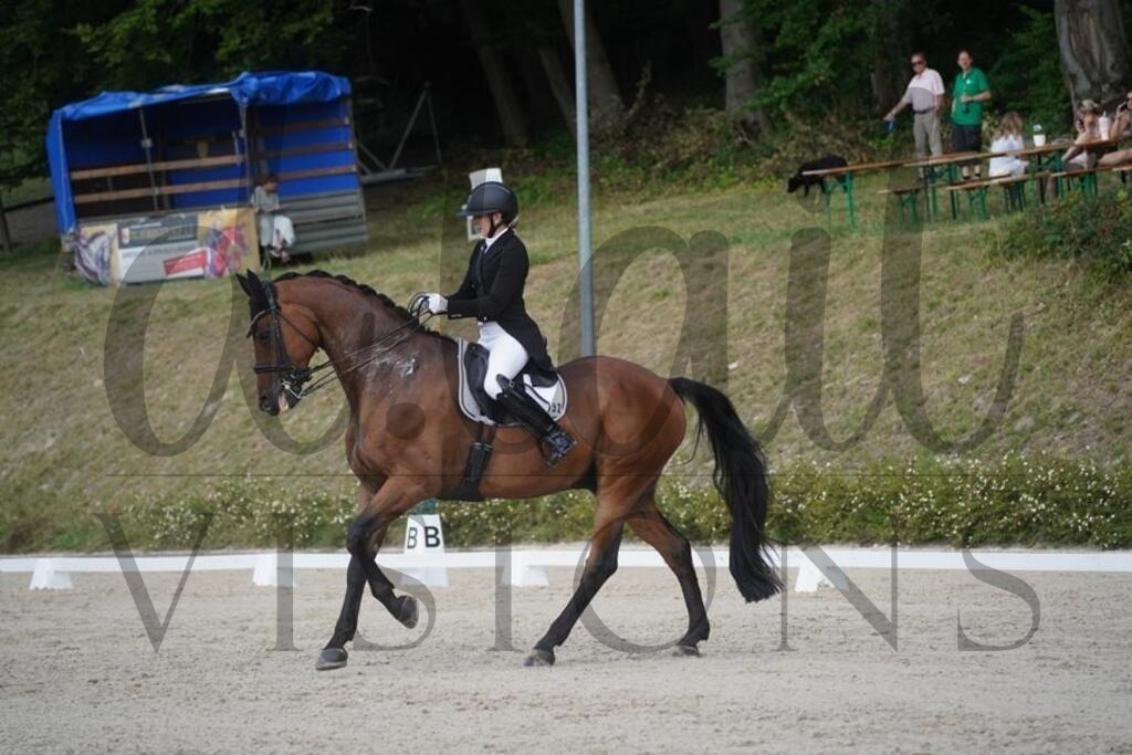 tbhsamstag (1645) | d.tail Visions - Shop - Realisiert mit Pictrs.com