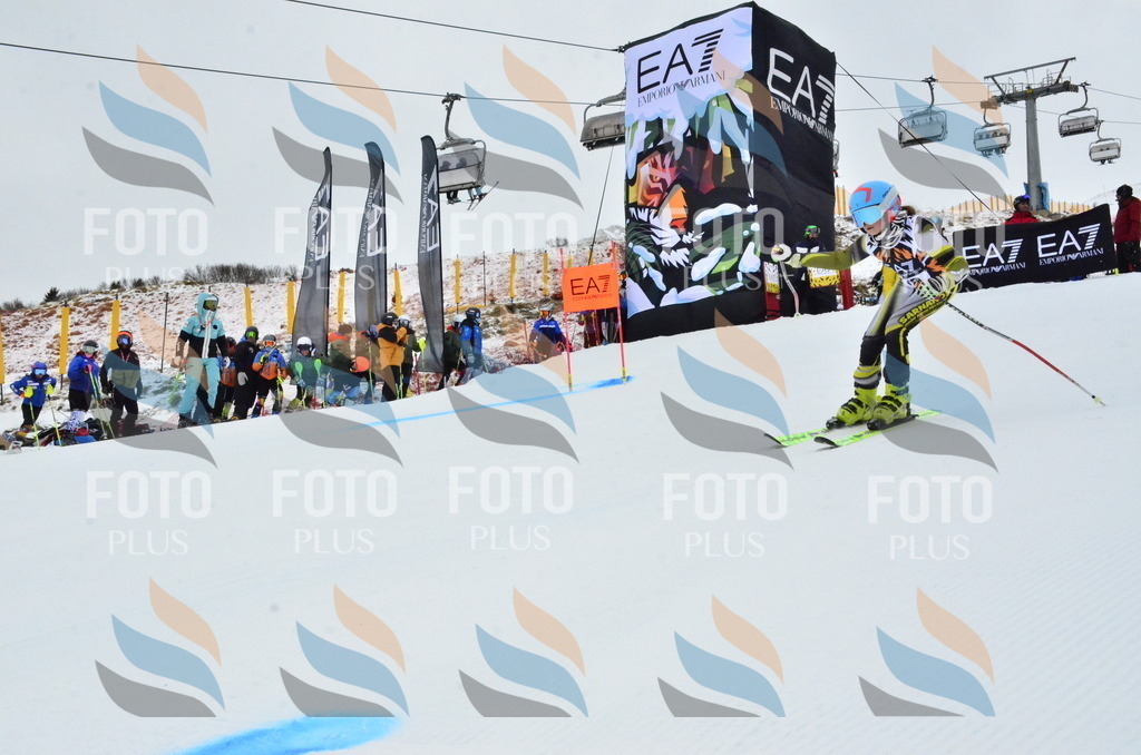 _ELE3265 | holidayphoto