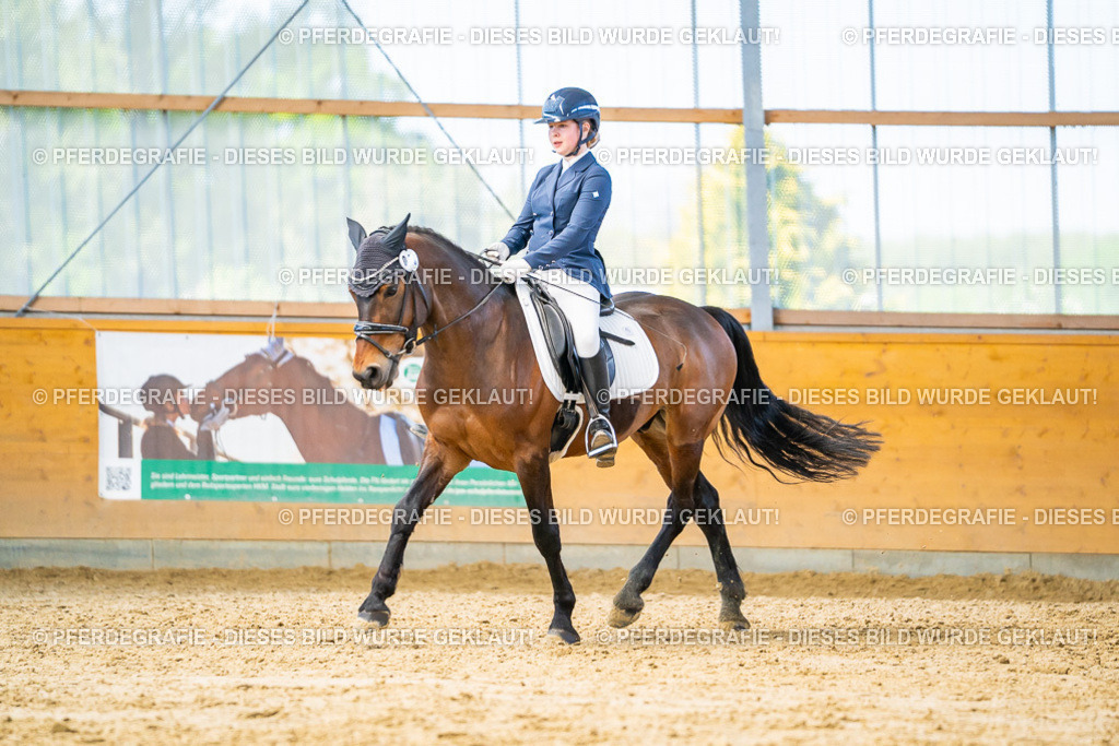 DSC08239 | Pferdegrafie