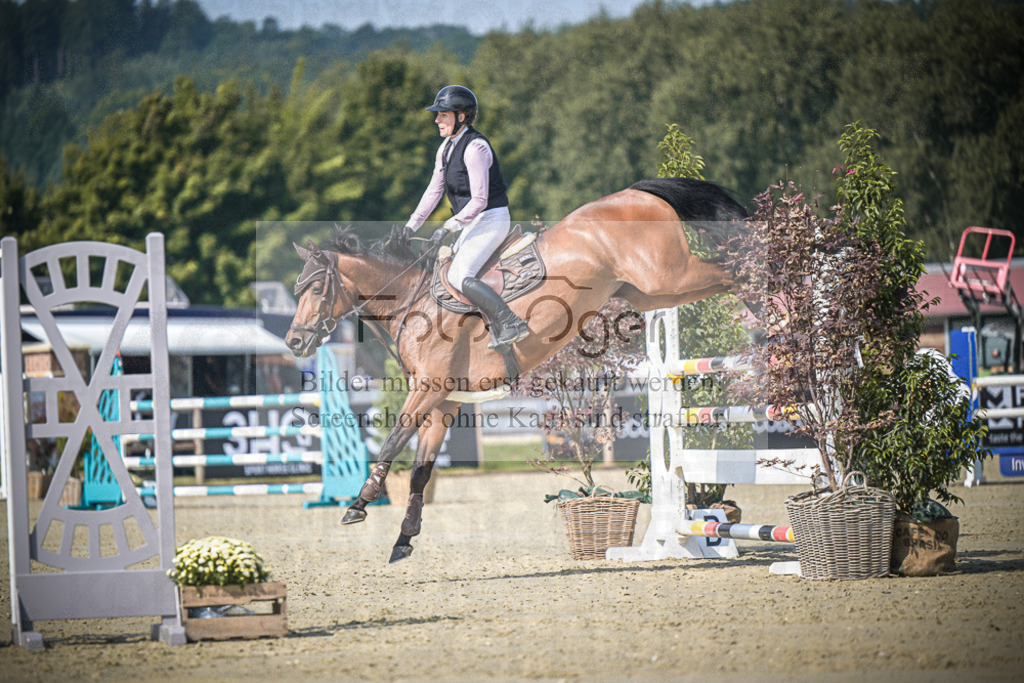 DOS_0364 | Entdecke hochwertige Reitturnierfotos von Foto Oger. Professionell, emotional und authentisch – jetzt Lieblingsmomente im Shop bestellen.Deutschlandweite Turnierfotografie. - Realisiert mit Pictrs.com
