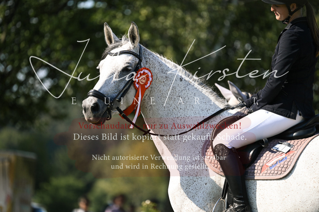 DSC_1548 | Pferde- und Turnierfotografie in Westsachsen. Pferdeportraits, Auftragszeichnungen und intuitive Kunst.