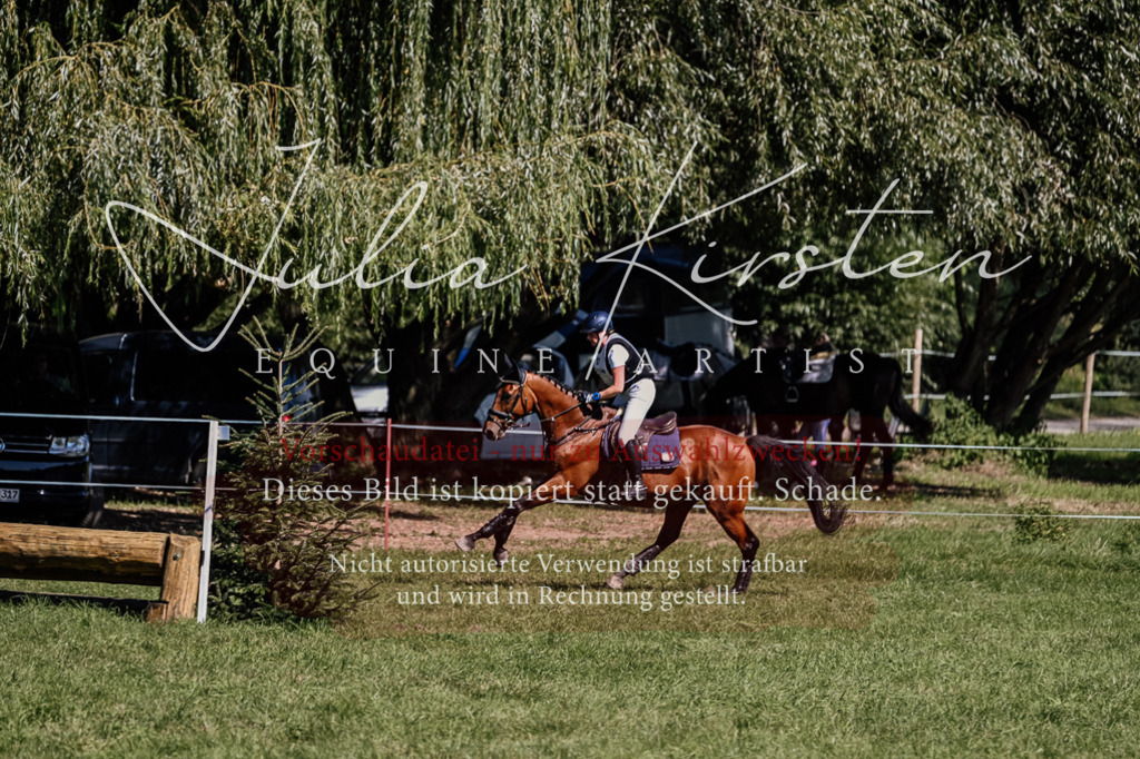 DSC_1977 | Pferde- und Turnierfotografie in Westsachsen. Pferdeportraits, Auftragszeichnungen und intuitive Kunst.