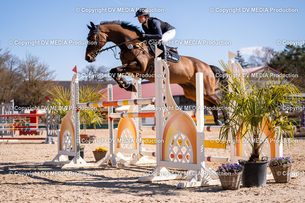 Kranichstein Tag 2-815 | dv-media-shop - Realisiert mit Pictrs.com