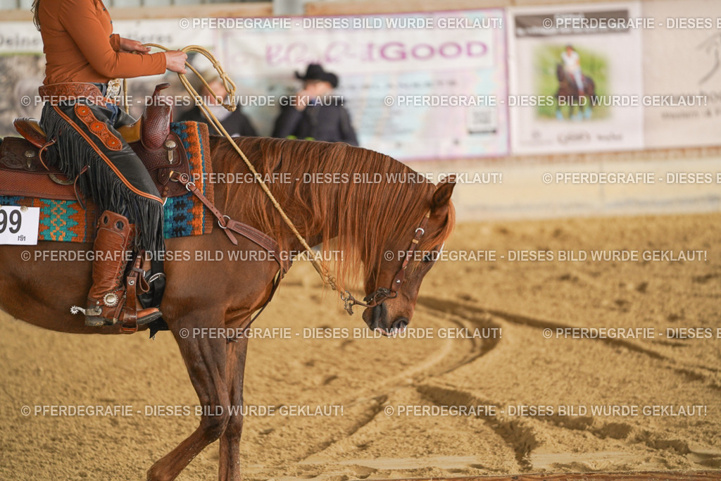 DSC01094 | Pferdegrafie