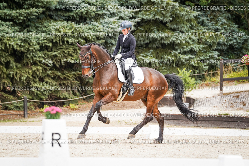 DSC04864 | Pferdegrafie