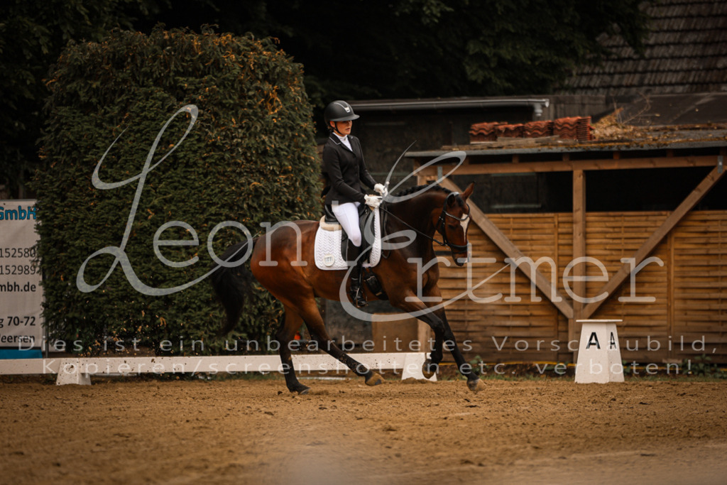 DoDrE00058 | Leoni Ertmer Photography - Realisiert mit Pictrs.com