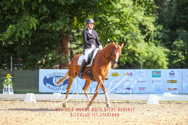 DKP42950 | Turniersportfotografie; Pferdefotografie; Dressurfotografie