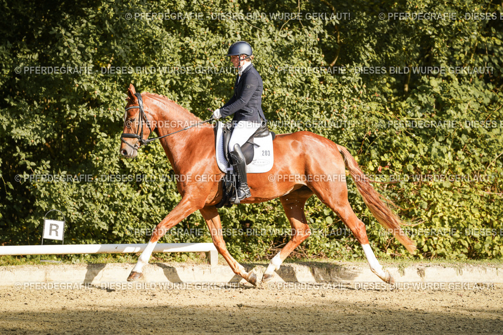 DSC05420 | Pferdegrafie