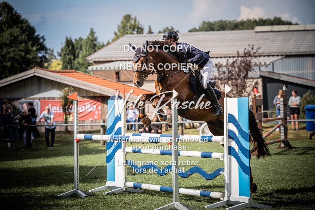 nelerasche_SprL115Ede_26 | nelerasche