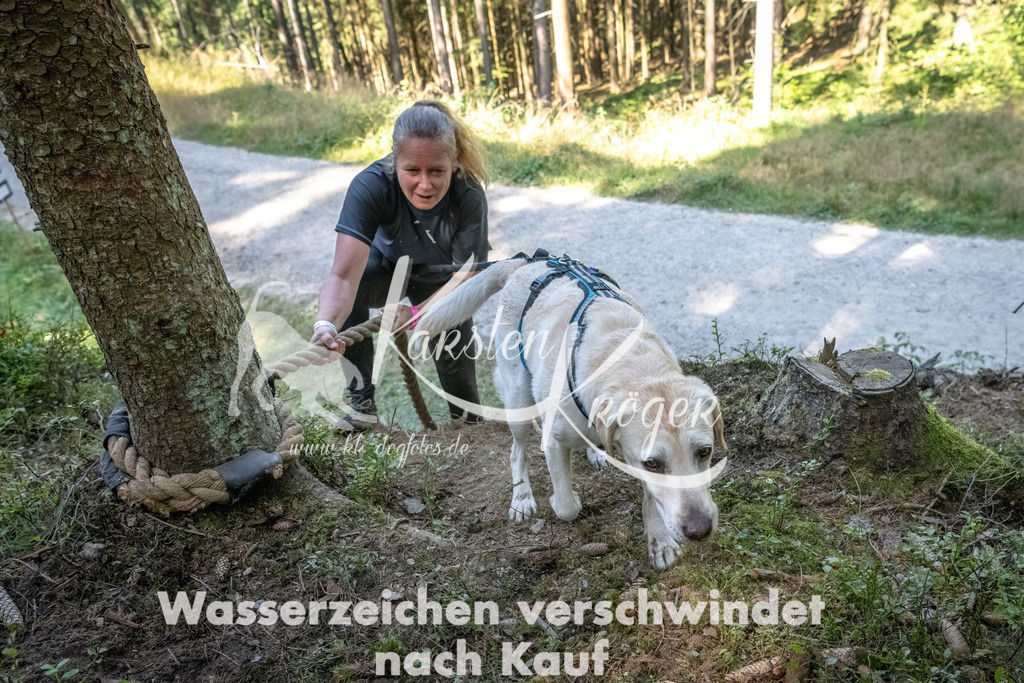 1202_ZZ93135 | kk-dogfotos