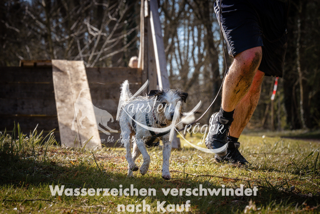 0925_ZZ95558 | kk-dogfotos
