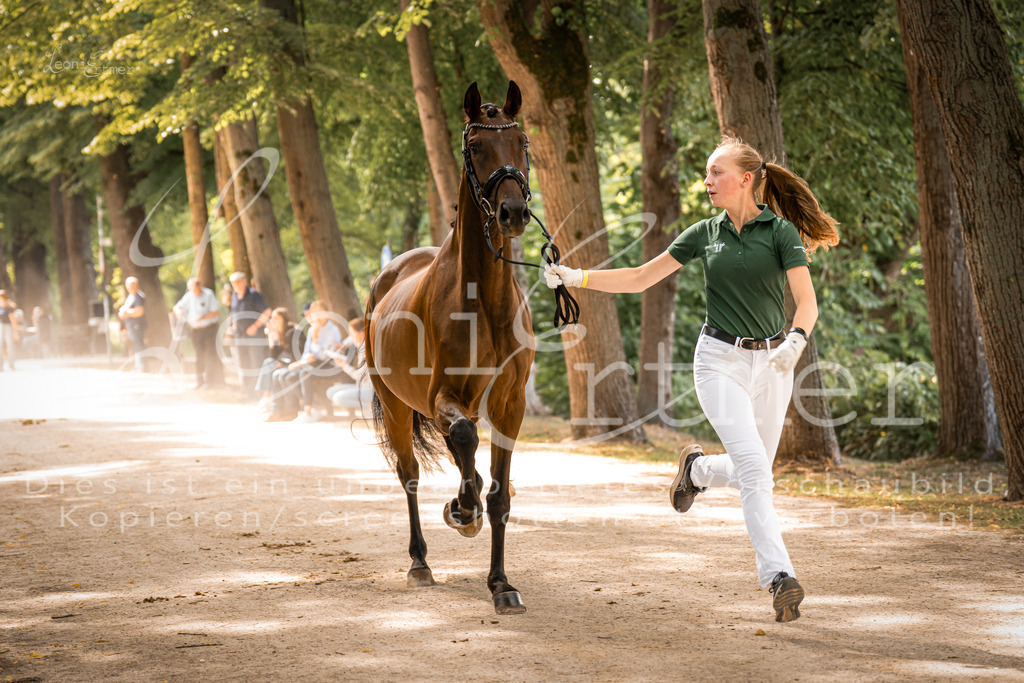 FrPfM00133 | Leoni Ertmer Photography - Realisiert mit Pictrs.com