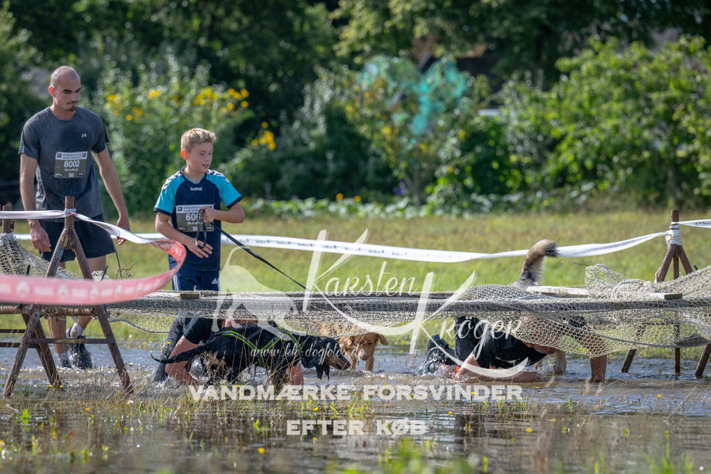 1135_ZZ90281 | kk-dogfotos