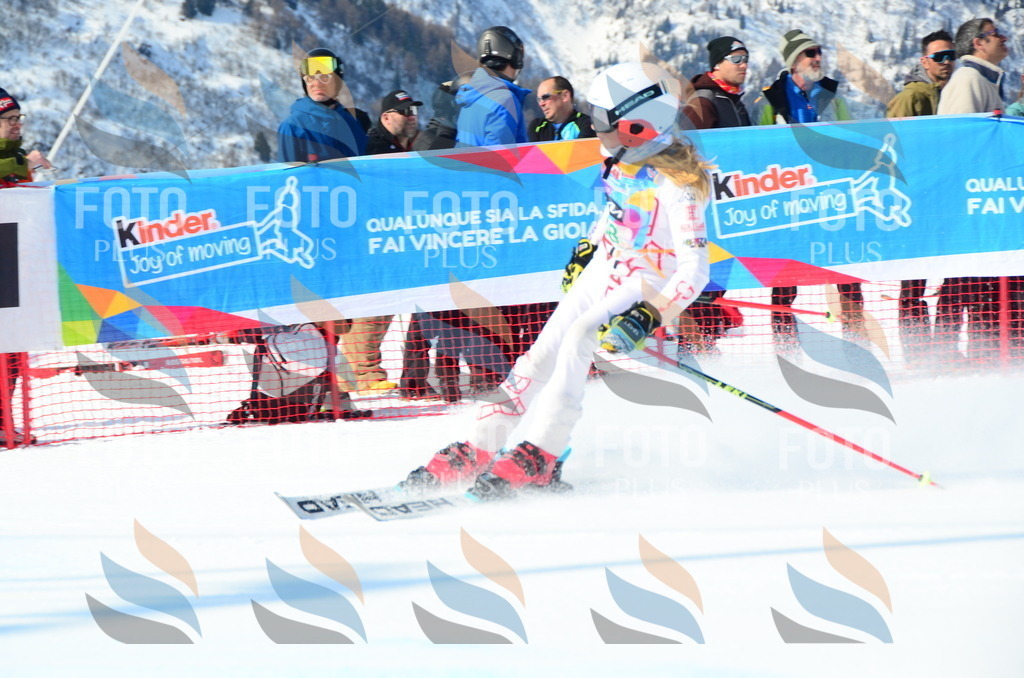 DSC_0389 | holidayphoto