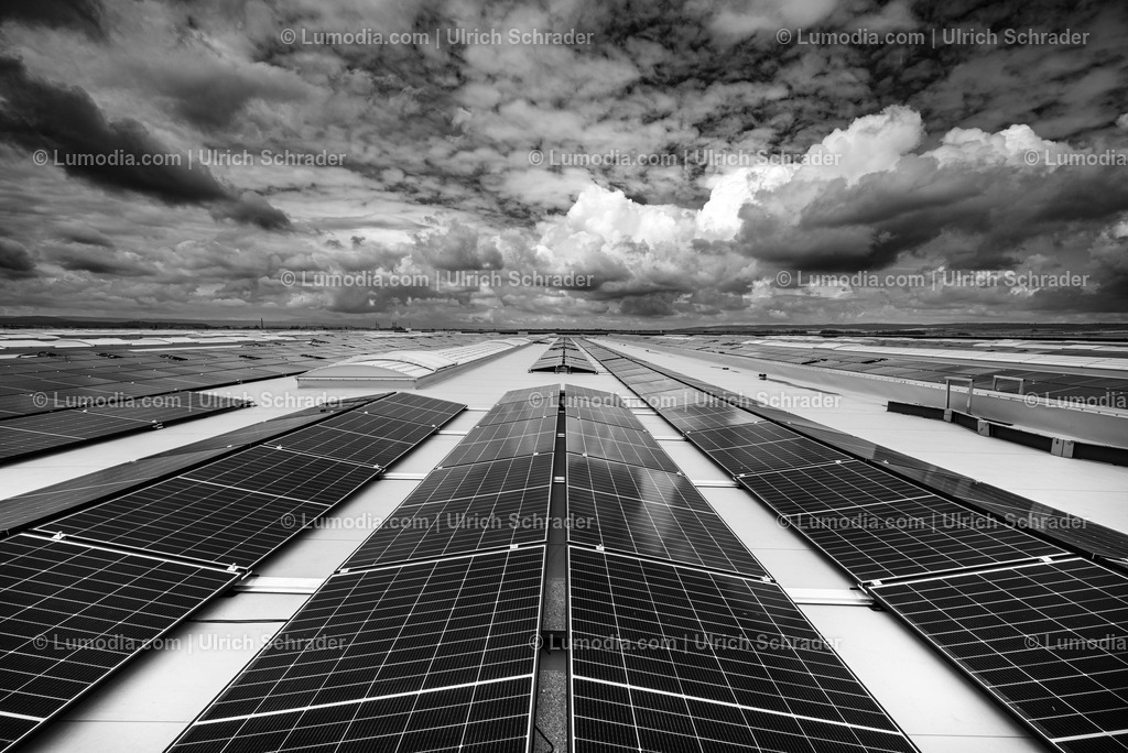 10049-52101 - Daimler Truck Halberstadt | Stockfoto und Bilderpool mit Bildmaterial aus Deutschland, dem Harz, Halberstadt, Quedlinburg, Wernigerode und weltweit. Qualitativ hochwertige und professionelle Fotos anschauen und kaufen. - Realisiert mit Pictrs.com