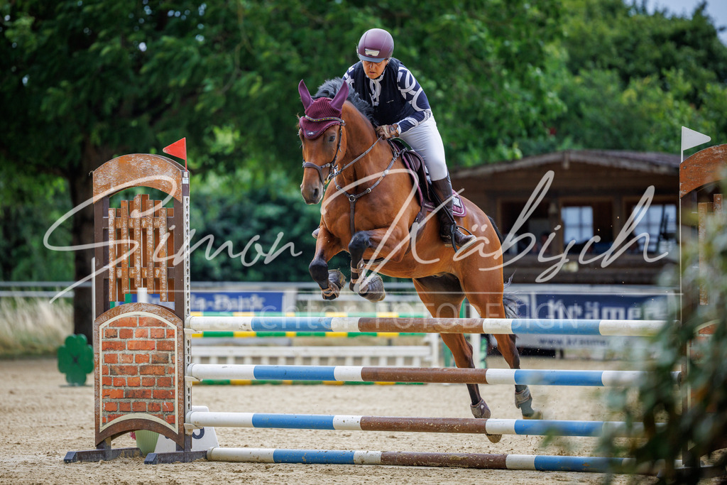 20260705-_3LI4917 | Tierfotografie Pferde, Hunde, Katzen, Haustiere.
Turnierfotografie Reitturniere, Reiten, Springreiten, Dressur in Hanau, dem Main-Kinzig-Kreis und dem Rhein-Main- Gebiet um Frankfurt