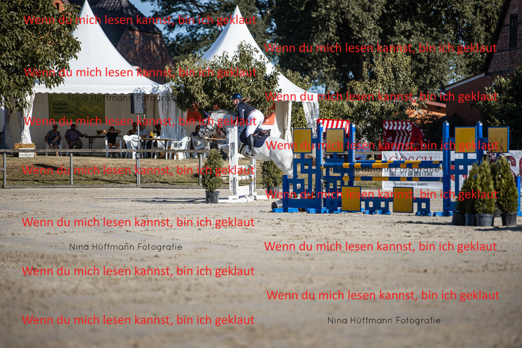 BK1A7407 | Turnierbilder Turnierfotos Nina Hüffmann Turnierfotografie Pferdefotografie Tierzeichnung Haustierzeichnung Pferdezeichnung Hundezeichnung Videograf  - Realisiert mit Pictrs.com