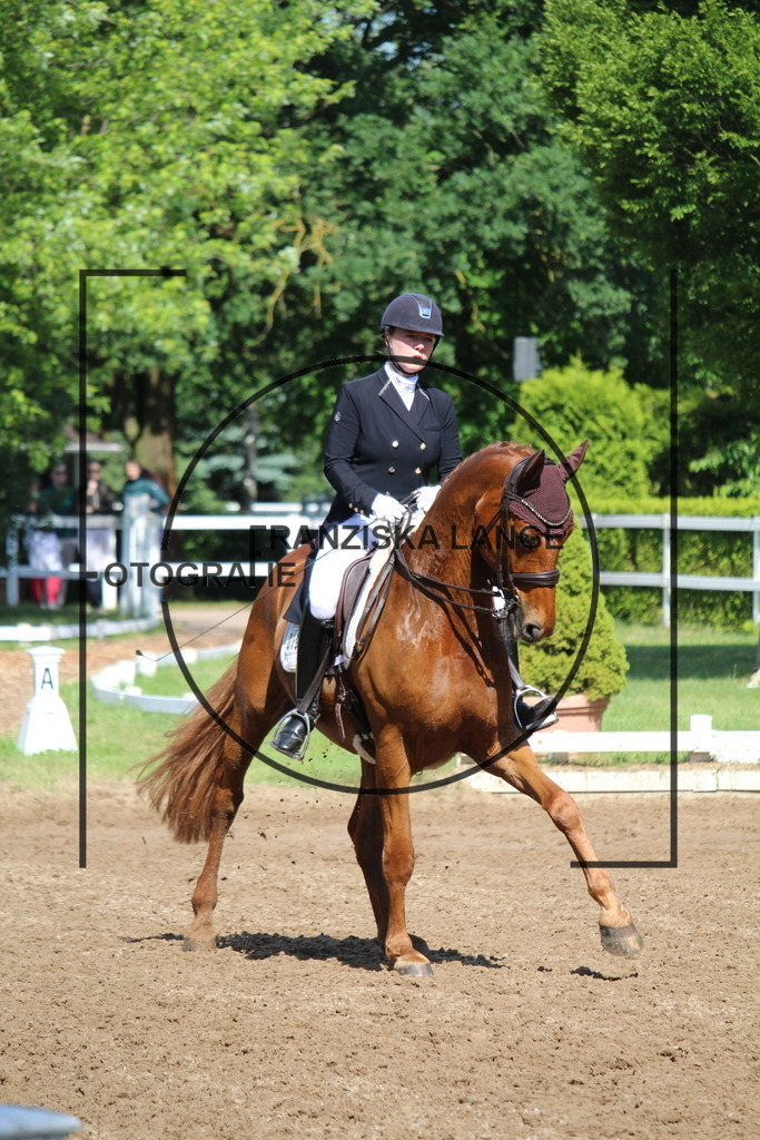 IMG_7017 | franziskalange - Realisiert mit Pictrs.com