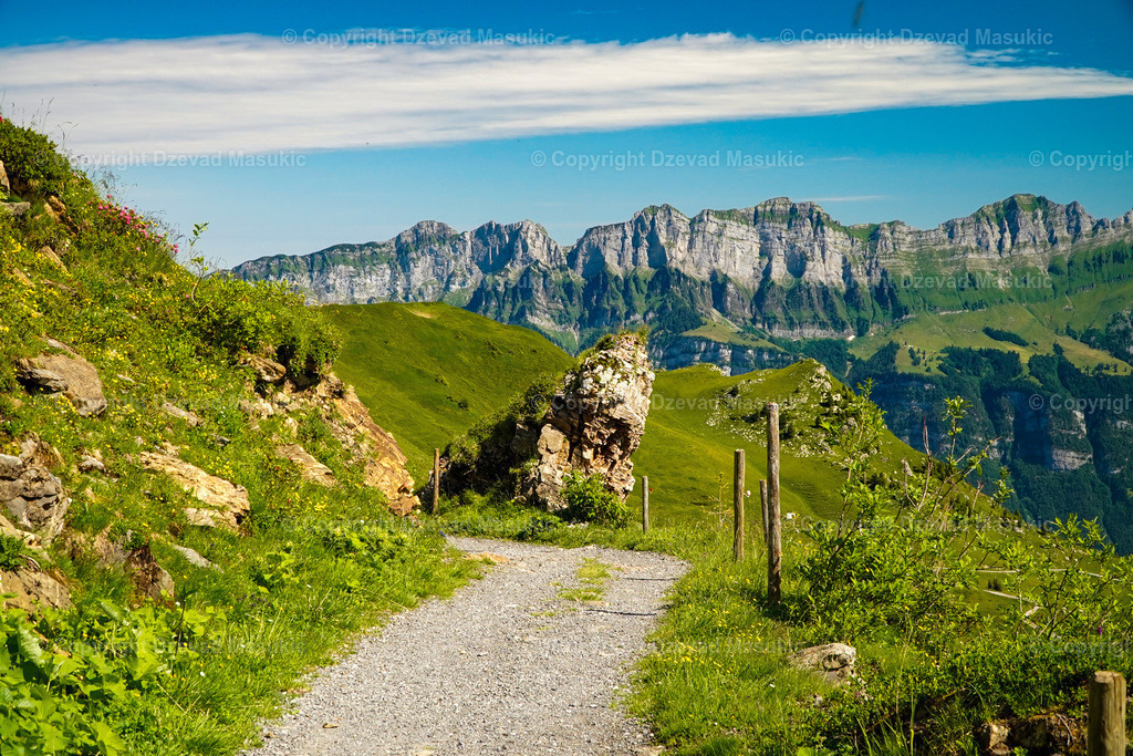 59852C9D-80F8-484E-8AC1-9794B04FA2B9 | Ich fotografiere Landschaften, Produkte und erstelle für Sie Firmenportraits. Engagieren Sie mich für den nächsten Projekt. - Realisiert mit Pictrs.com