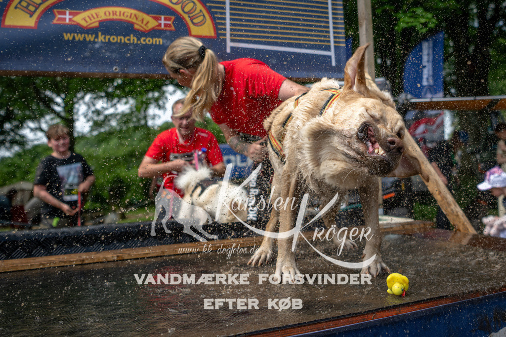 1113_ZZ93133 | kk-dogfotos