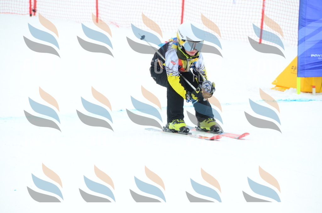 DSC_1944 | holidayphoto