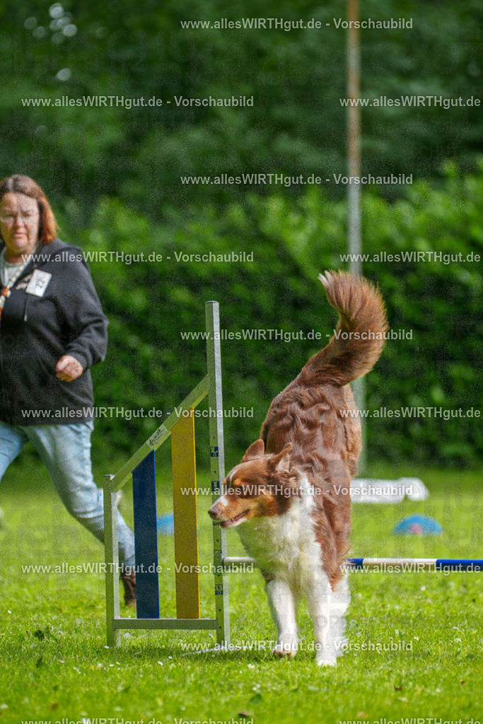 @allesWIRTHgut_Tierfotografie - www.allesWIRTHgut.de - 094439-7R507530 | Professionelle Tierfotografie in Mönchengladbach von Daniel Wirth (allesWIRTHgut). Liebevolle & natürliche Bilder von Hunden & Katzen für unvergessliche Erinnerungen.