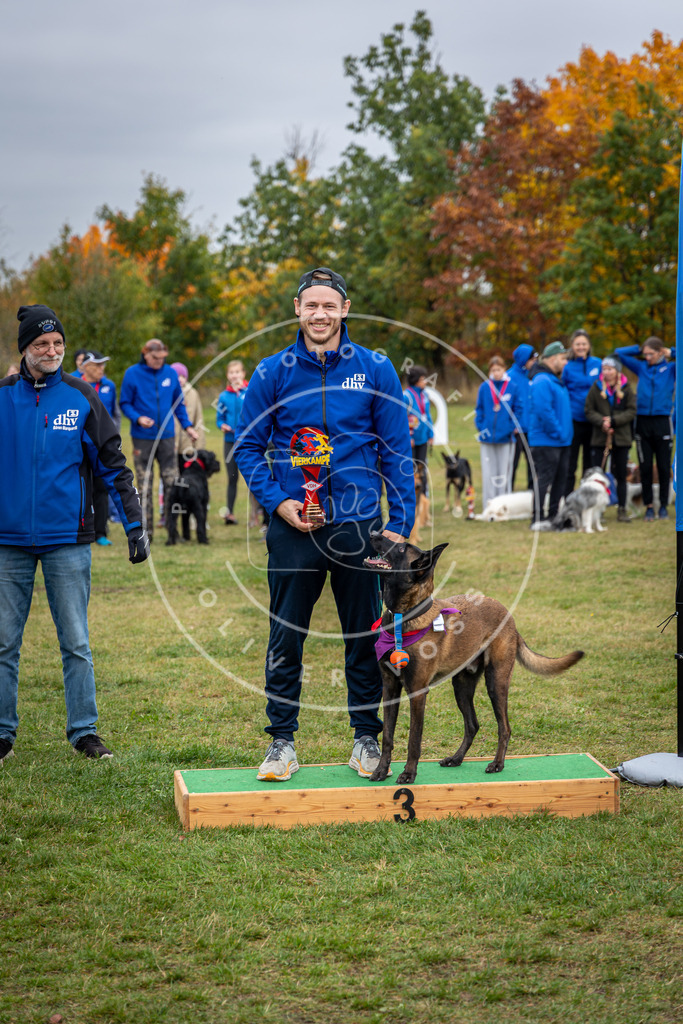 Pfotenfotografie_0L8A0630 | Hundefotografie, Tierfotograf, Pfotenfotografie, Fotoshooting Hund, Hunde Portrait, Hundesport, Hundeportraits, Heideshooting, Hunde, Sportfotograf, Hundefotograf, Turnierhundsport, THS,  - Realisiert mit Pictrs.com