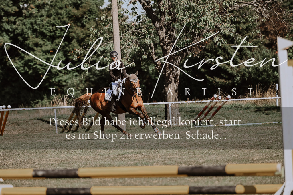 DSC_9377 | Pferde- und Turnierfotografie in Westsachsen. Pferdeportraits, Auftragszeichnungen und intuitive Kunst.