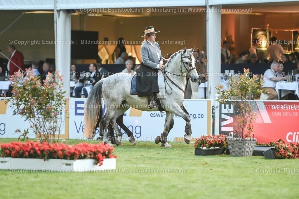 20230526_Pferdenacht_0784 | equistock