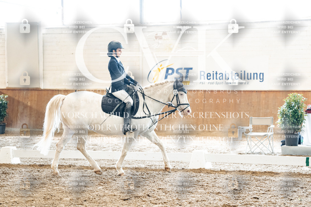 CK900020 | Turnierfotografie Pferdefotografie Trier Rheinland-Pfalz Pferdesport Reitsport Tierfotografie Sportfotografie Pferdevideo Pferdevideografie Equestrianvideography equestrianphotography  - Realized with Pictrs.com