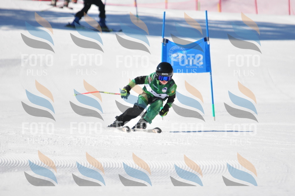 C3096 | holidayphoto