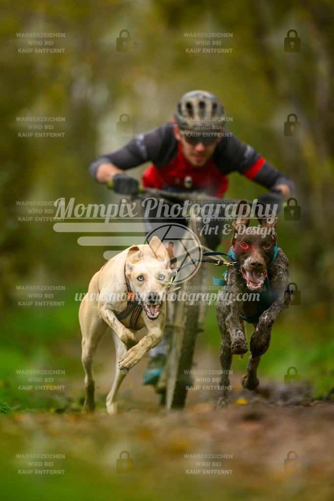 MompixPhotography_20TSB_E6_DS2-2 | PayLife
